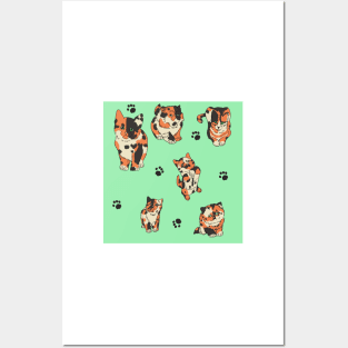 Minty Calico Kittens Posters and Art